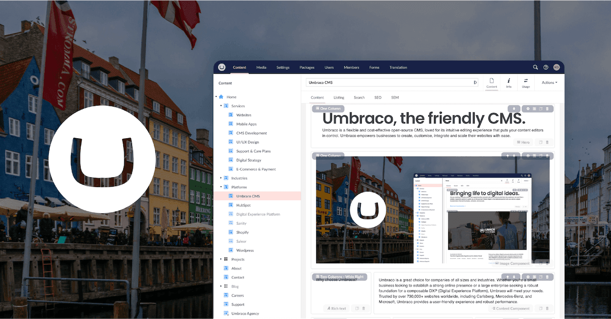 Umbraco CMS.png